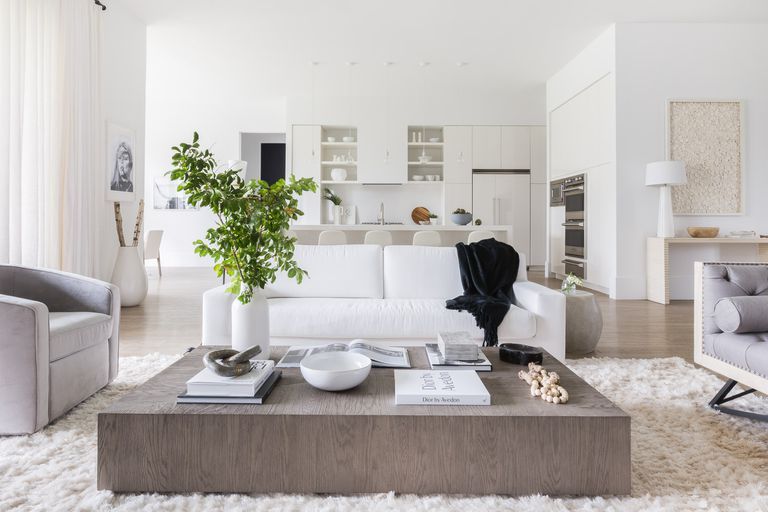 Minimalist Furniture Ideas For Living Rooms, Sleek Living Room Ideas