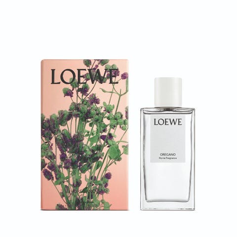 Loewe香菜香水台灣終於上市 令人上癮的香菜 大麻蠟燭等11款驚喜植物香調同步發售