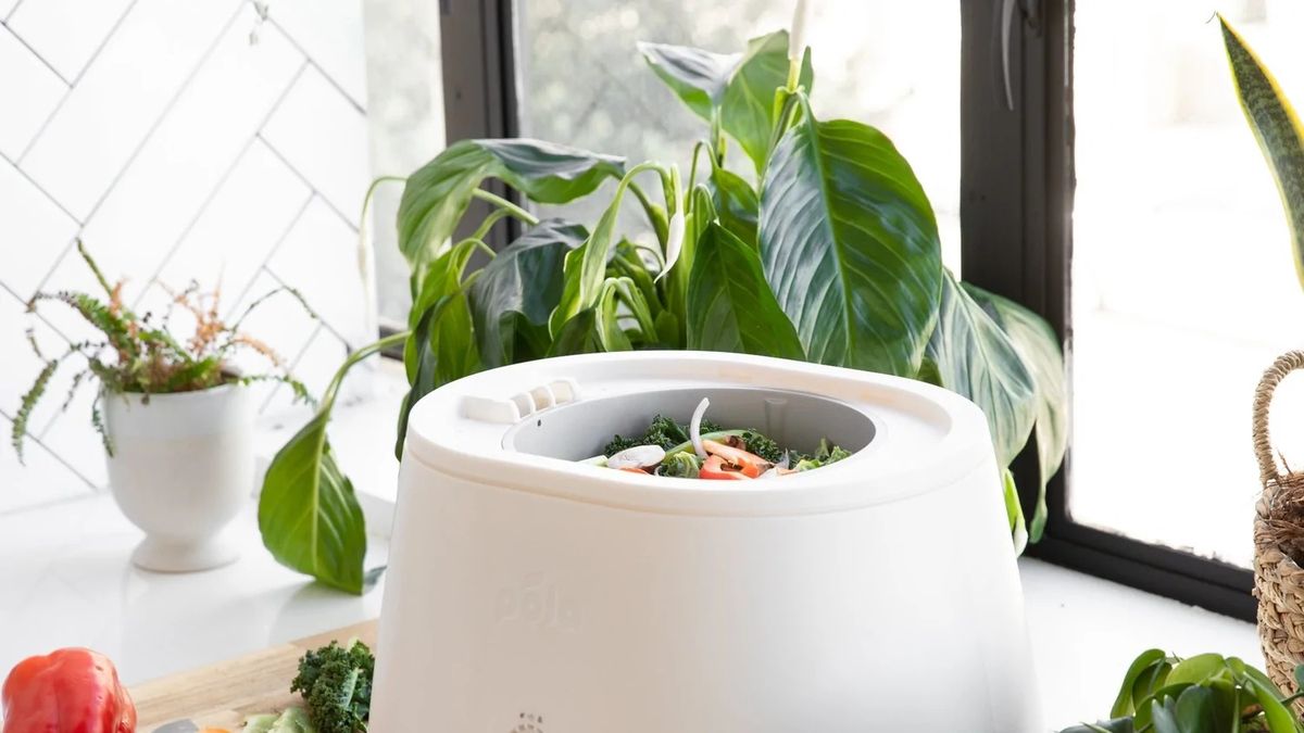 The 5 Best Electric Countertop Composters To Fight Food Waste in 2024 •  Sustainably Kind Living