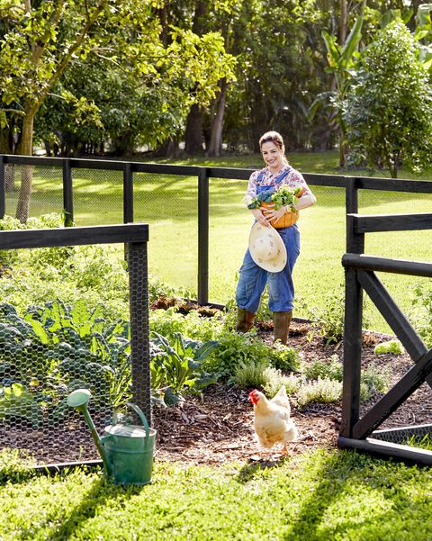 Pretty Garden Fence Ideas, Vegetable Garden Fence Kit Uk