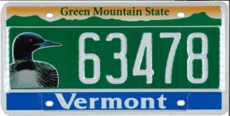 Pink Flowers Fairy with Butterflies License Plate Cover Stainless Steel Metal Car Vehicle Decor