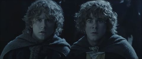 lord of the rings merry and pippin