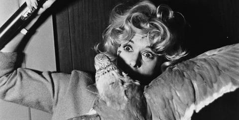 los pajaros alfred hitchcock los pajaros alfred hitchcock curiosidades rodaje