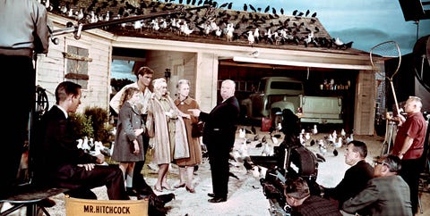 los pajaros alfred hitchcock los pajaros alfred hitchcock curiosidades rodaje