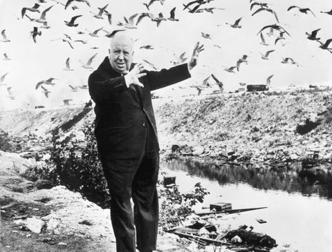 los pajaros alfred hitchcock curiosidades rodaje