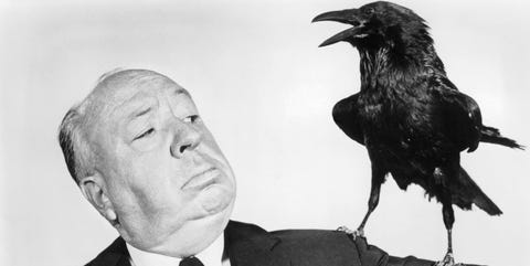 los pajaros alfred hitchcock los pajaros alfred hitchcock curiosidades rodaje