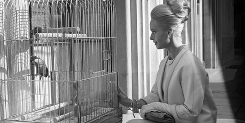 los pajaros alfred hitchcock los pajaros alfred hitchcock curiosidades rodaje