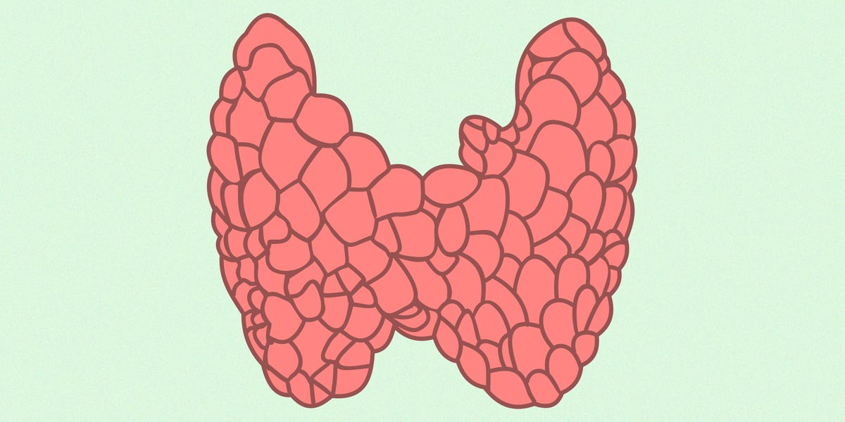 How To Lose Weight When You Have Hypothyroidism how-to-lose-weight-when-you-have-hypothyroidism