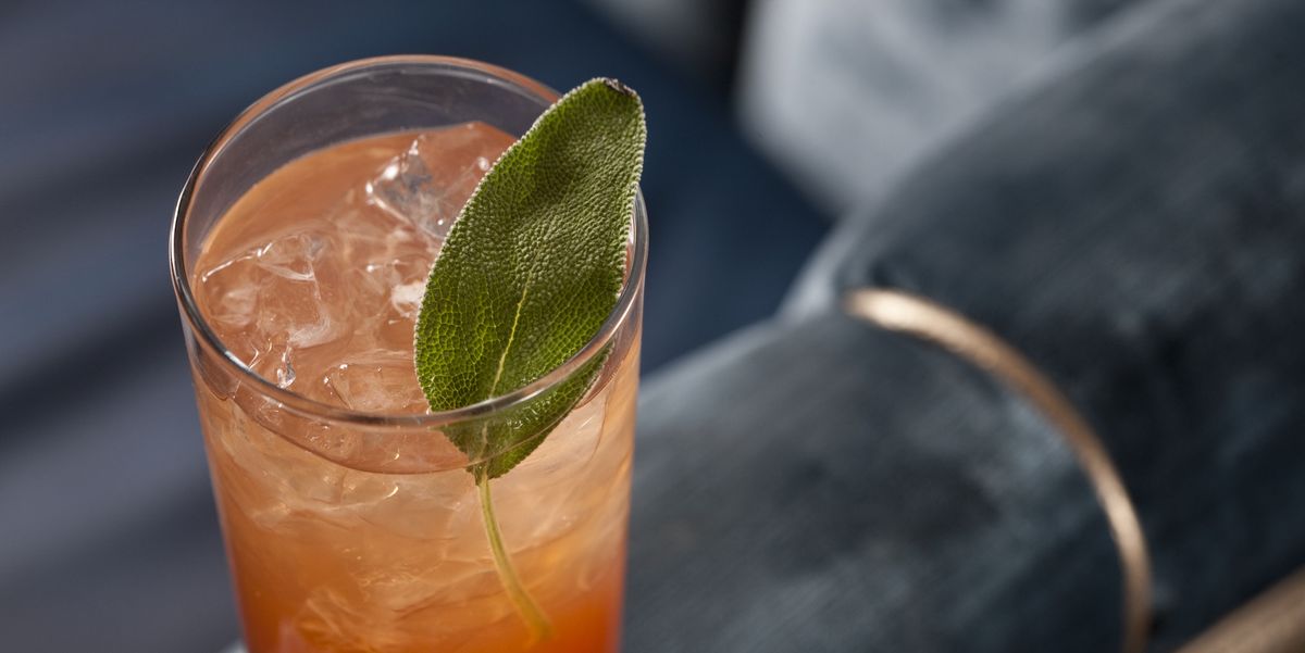 20 Best Aperitif Drinks Cocktail Recipes
