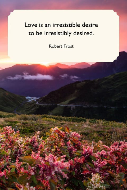 love quotes robert frost love quotes robert frost