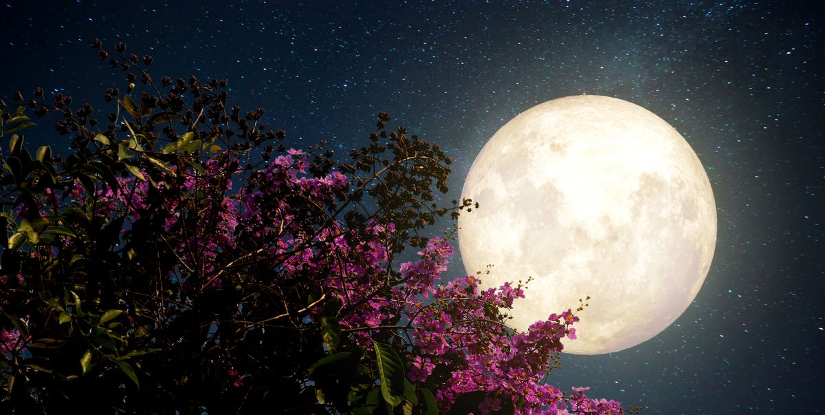 満月何時 21年3月の満月はワームムーン 見える時間や方角など観測ポイントをチェック