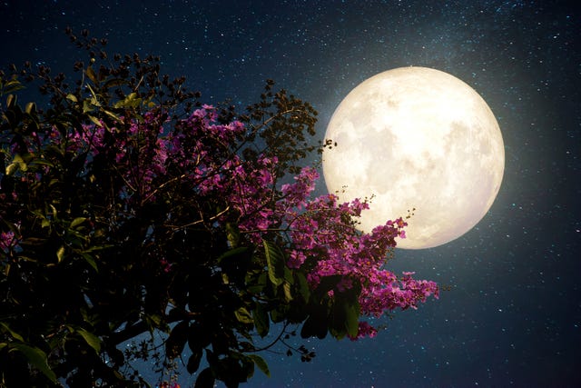 When and How to See March's Full Worm Moon in Spring 2021