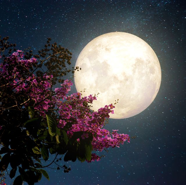 When and How to See March's Full Worm Moon in Spring 2021