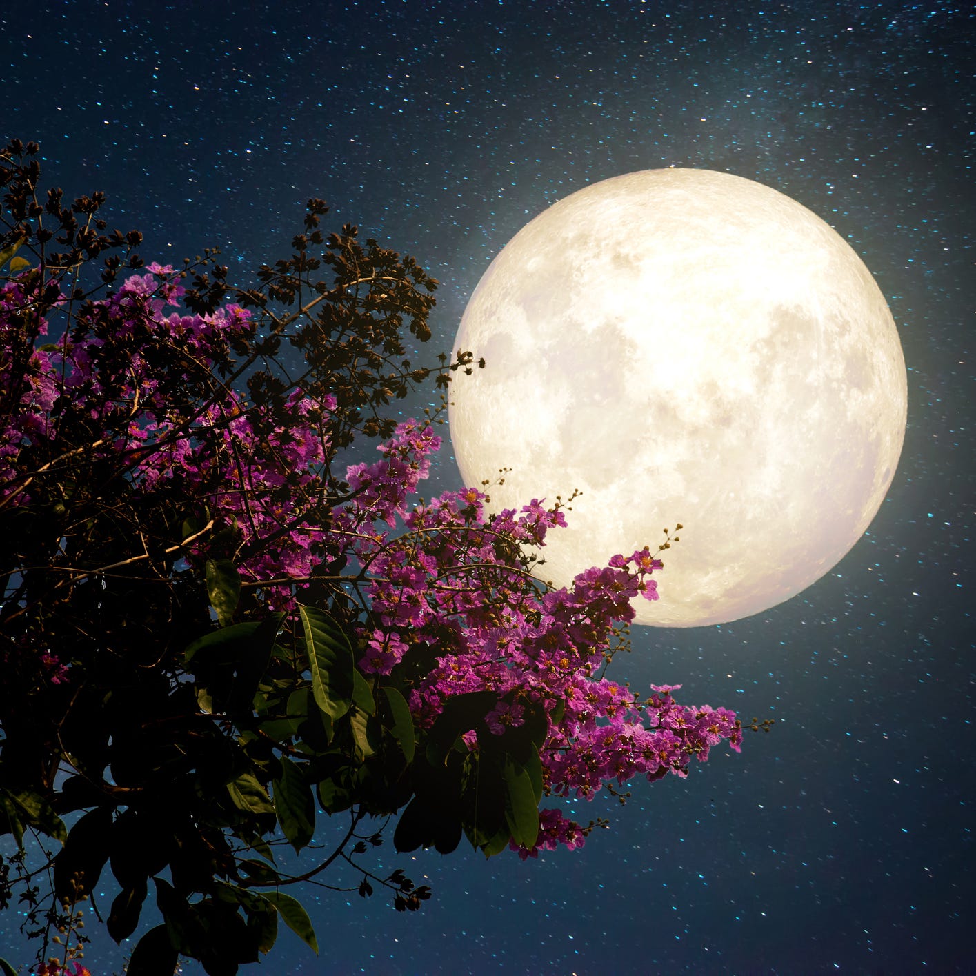 A Rare Pink Moon Will Illuminate the Sky This Weekend—Here's How and When to See It