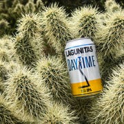 lagunitas daytime