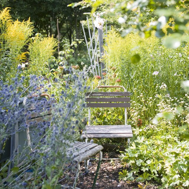 chairs in flower garden