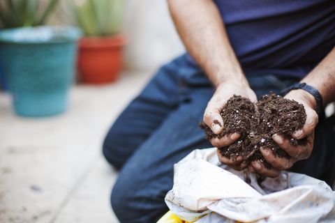 low section of man holding compost while gardening in balcony
