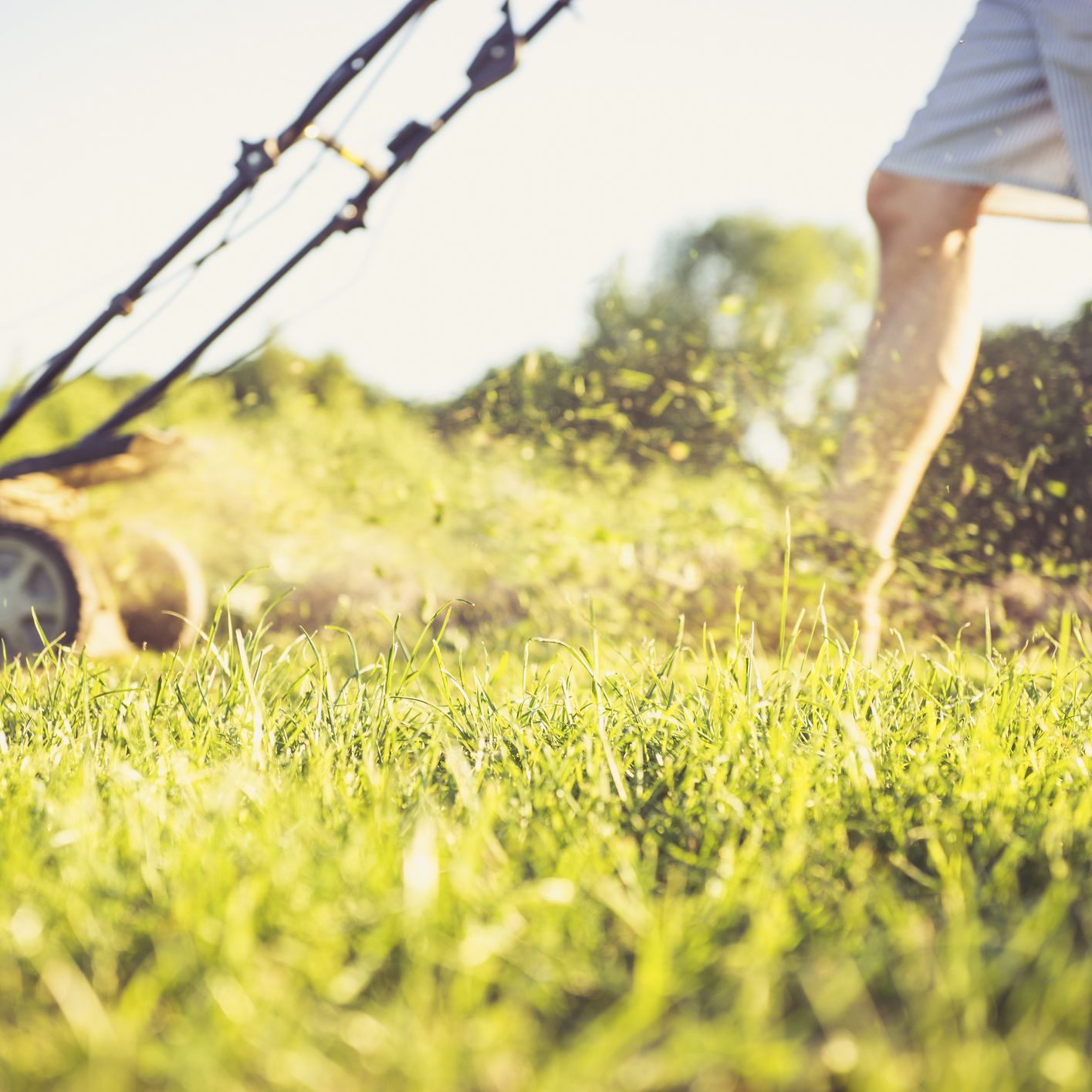 The Ultimate Guide to Buying a Lawn Mower