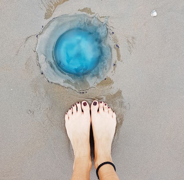 una medusa en la arena de la playa junto a unos pies de mujer
