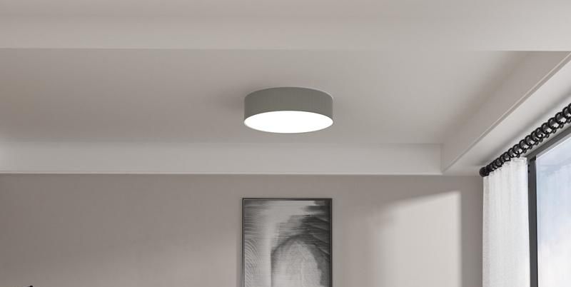 LSC Smart Connect Ceiling Light in Action