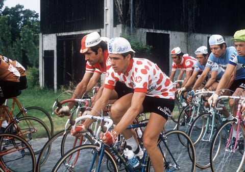 TDF 1975