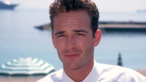 luke perry and television series