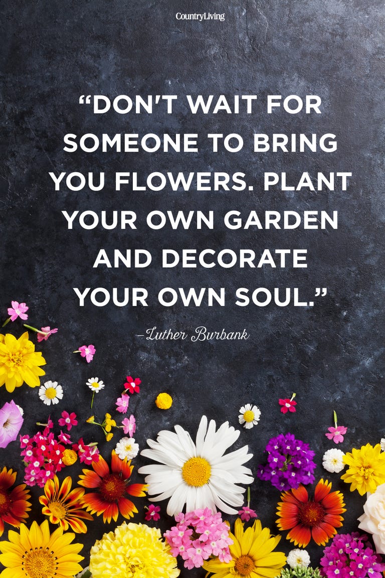 20 Happy Spring Quotes - Motivational Sayings About Spring