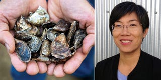 oysters, lydia lee