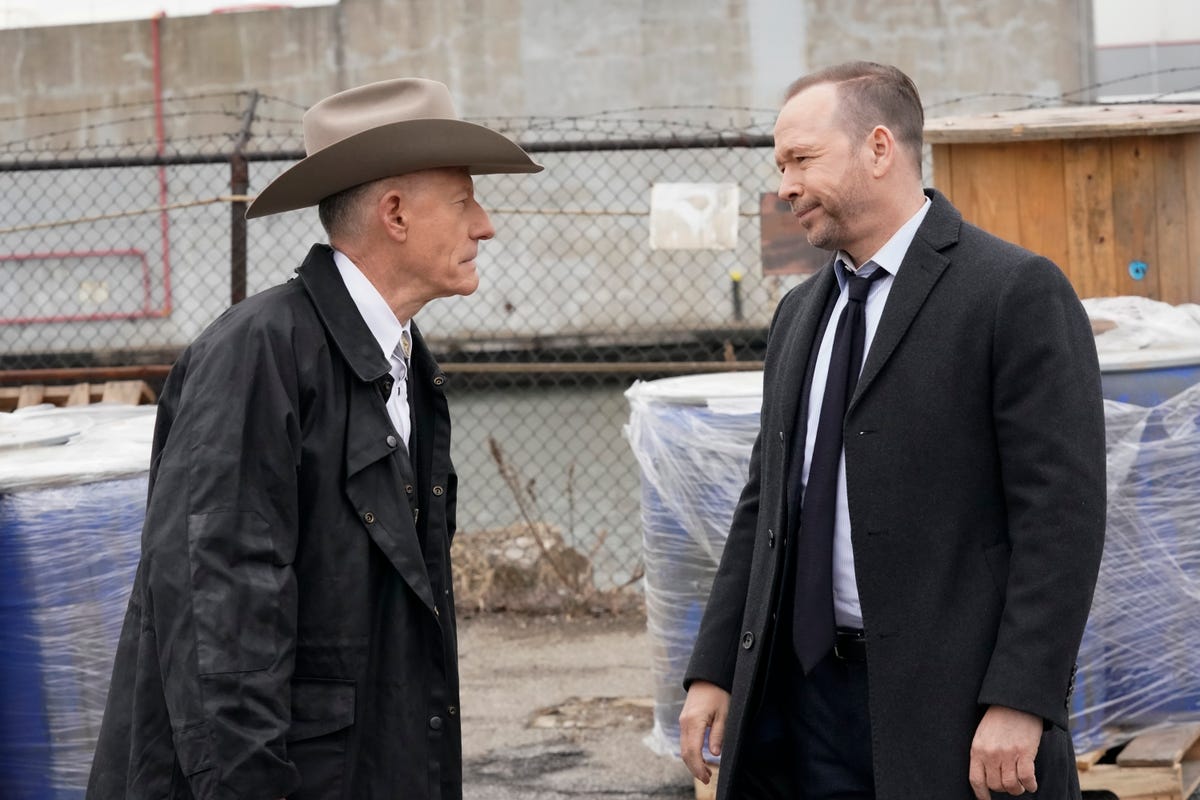 Blue Bloods Fans React To Lyle Lovett As The Texas Ranger