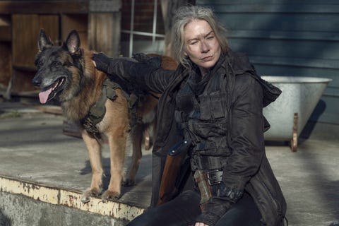 Lynn Collins as Leah, dog, The Walking Dead season 11 lynn collins as leah, dog, the walking dead season 11