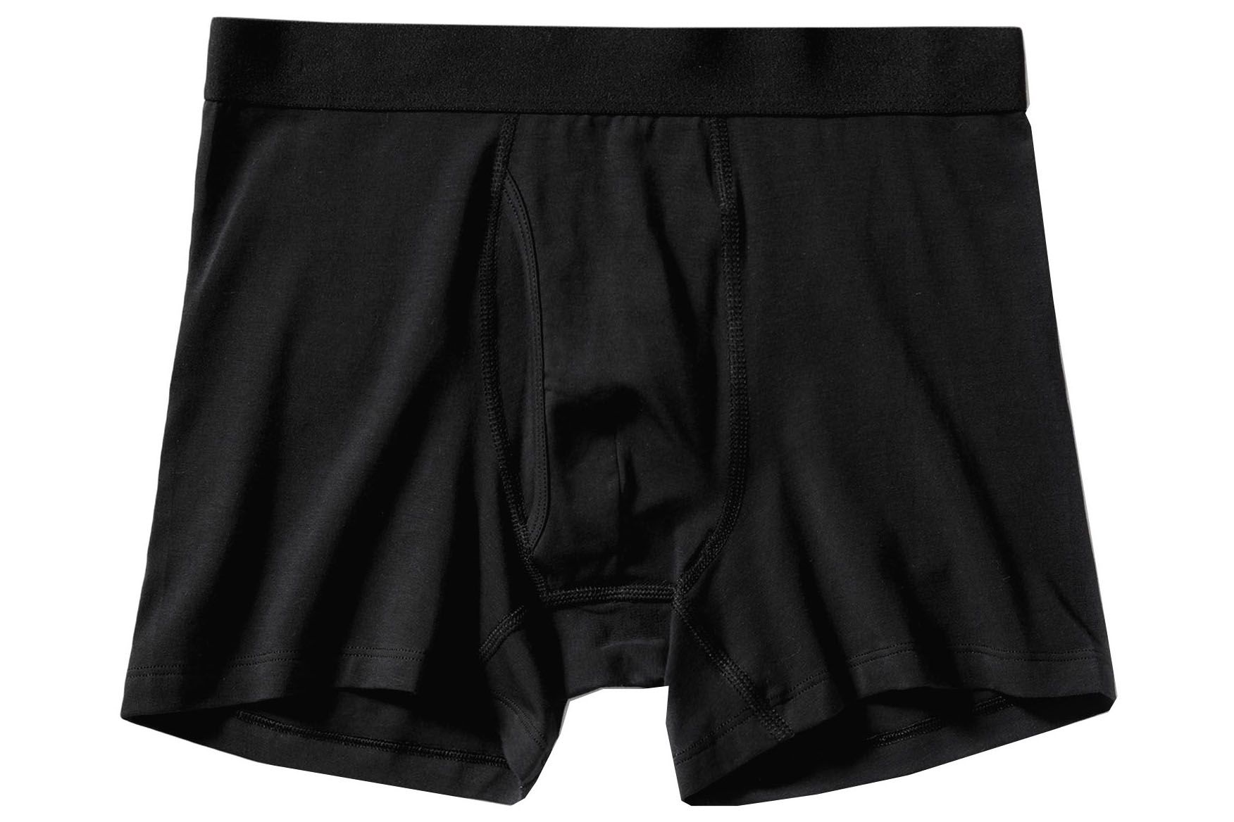 everlane the longer boxer brief