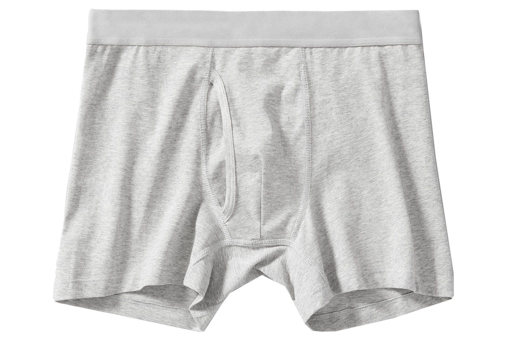 everlane the longer boxer brief