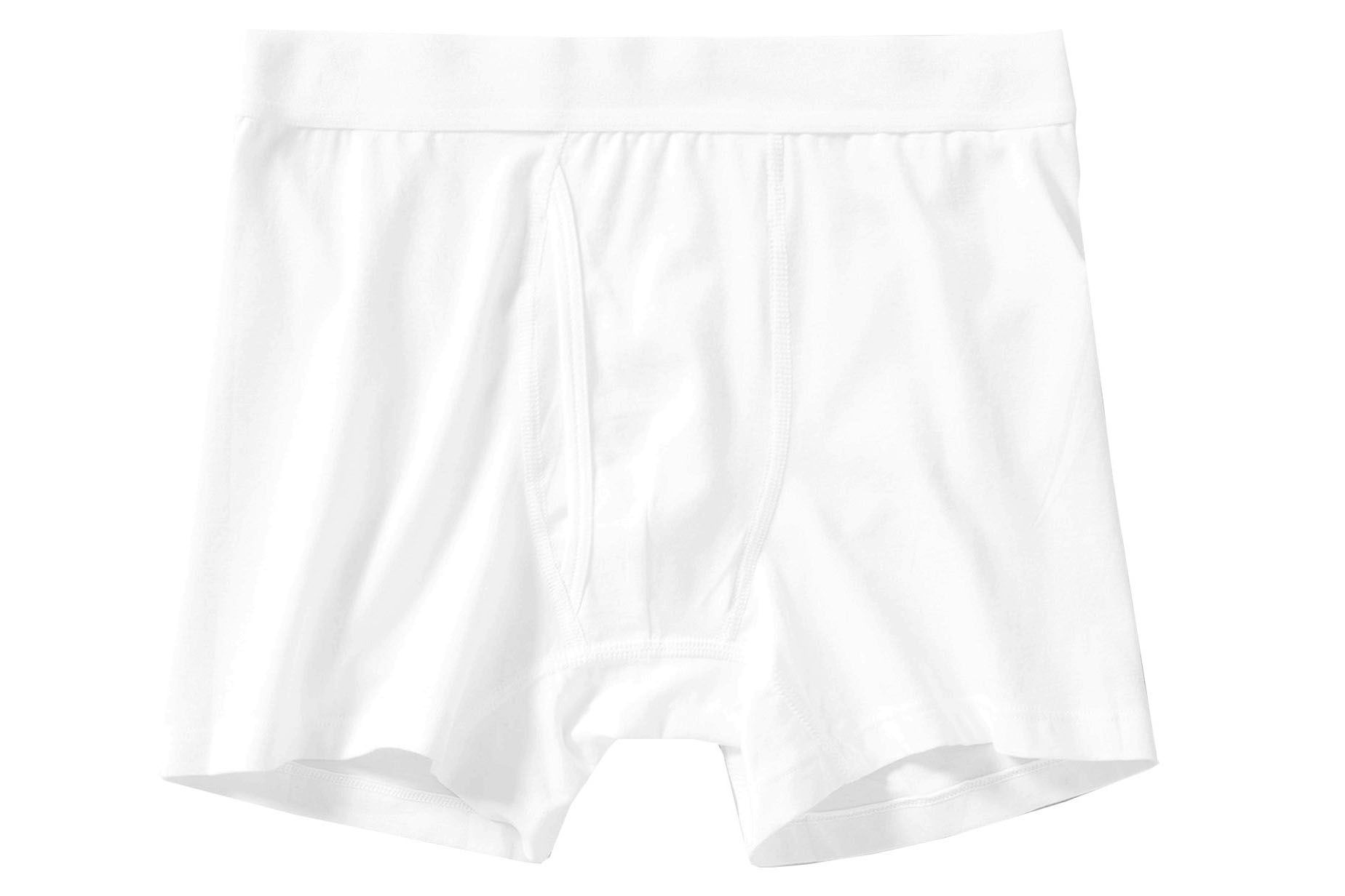 everlane the longer boxer brief