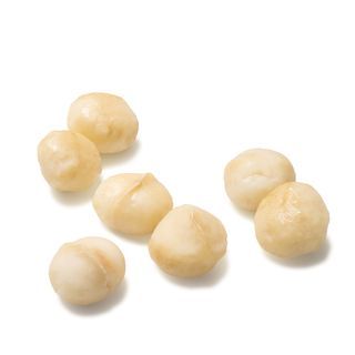 Macadamia nuts on a white background