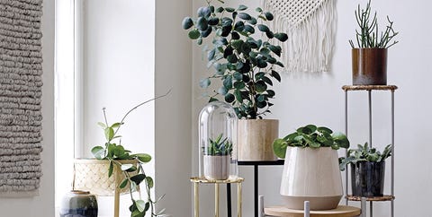 Rincón dentro de casa con plantas rincón dentro de casa con plantas