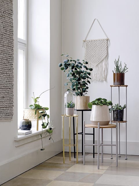 White, Furniture, Floor, Flowerpot, Room, Interior design, Table, Houseplant, Iron, Shelf, 