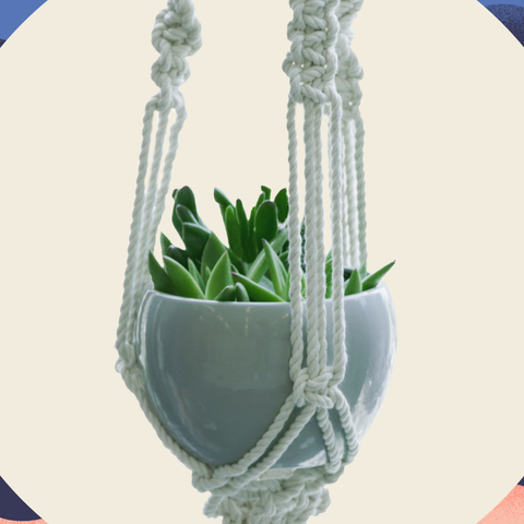 Macrame Planter DIY