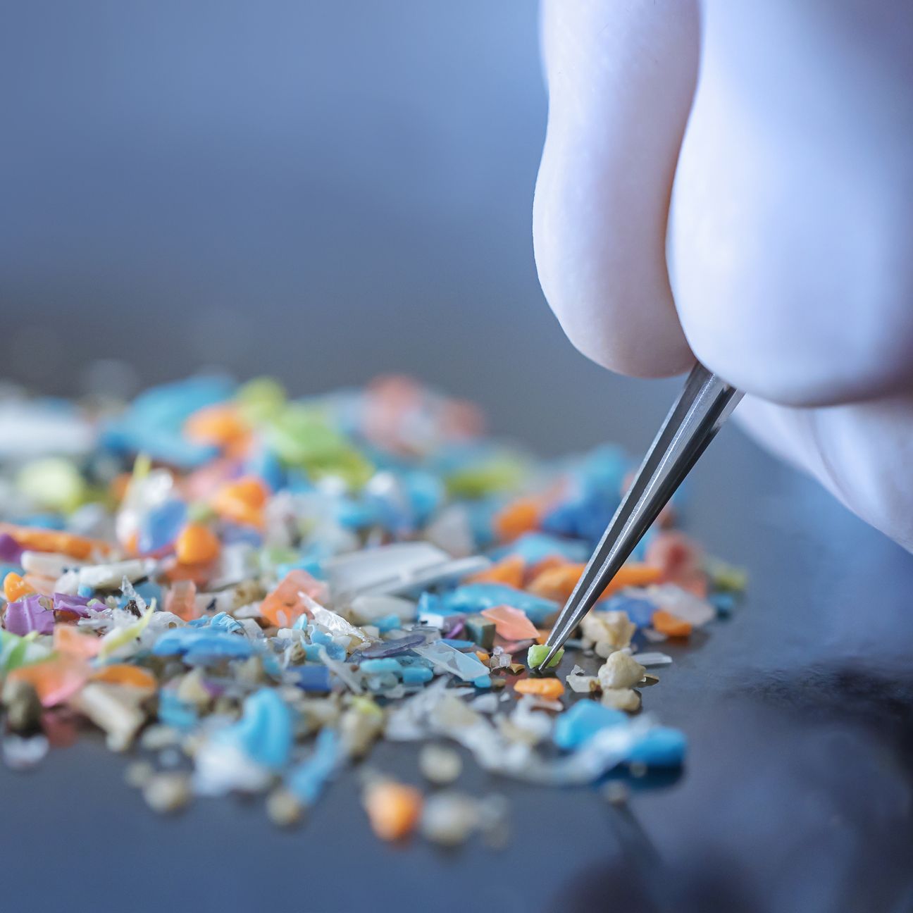 A Study Found Microplastics in Every Single Human Placenta Tested