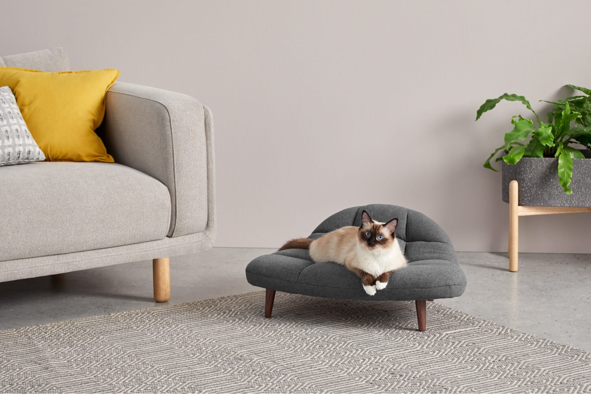MADE.com's Dog Beds Will Match Your Sofa - Pet Beds