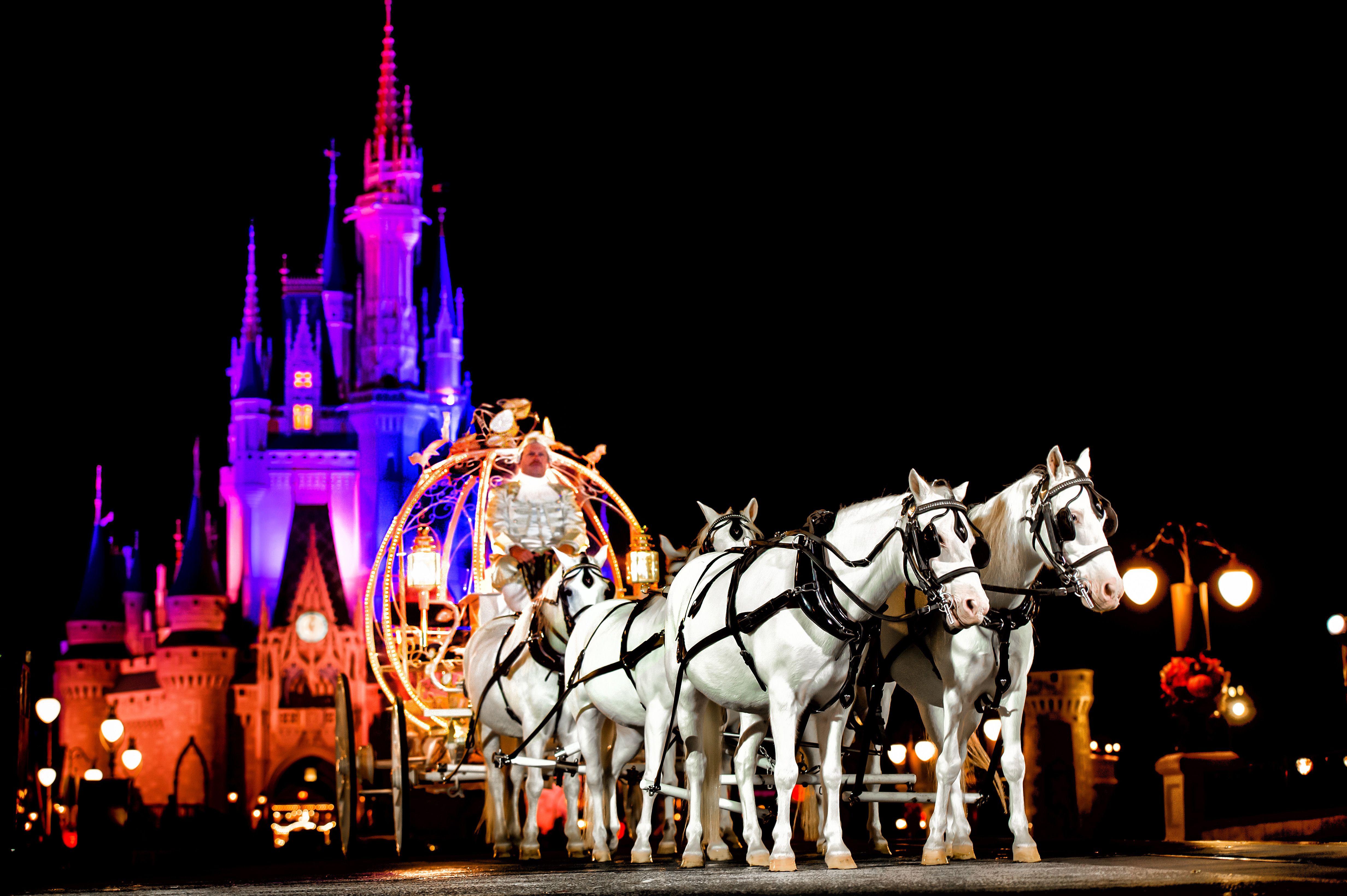 Disney World Offering Nighttime Weddings Magic Kingdom After