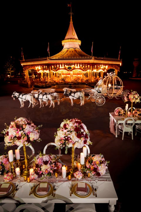 Disney nighttime wedding