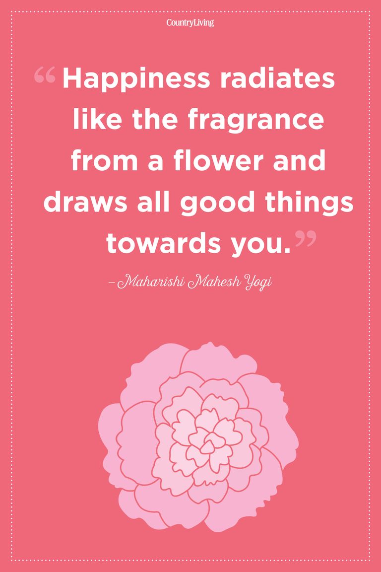 20 Inspirational Flower Quotes - Cute Flower Sayings About 