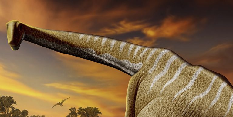 卵の殻の化石が示唆する 恐竜の血に関する新説