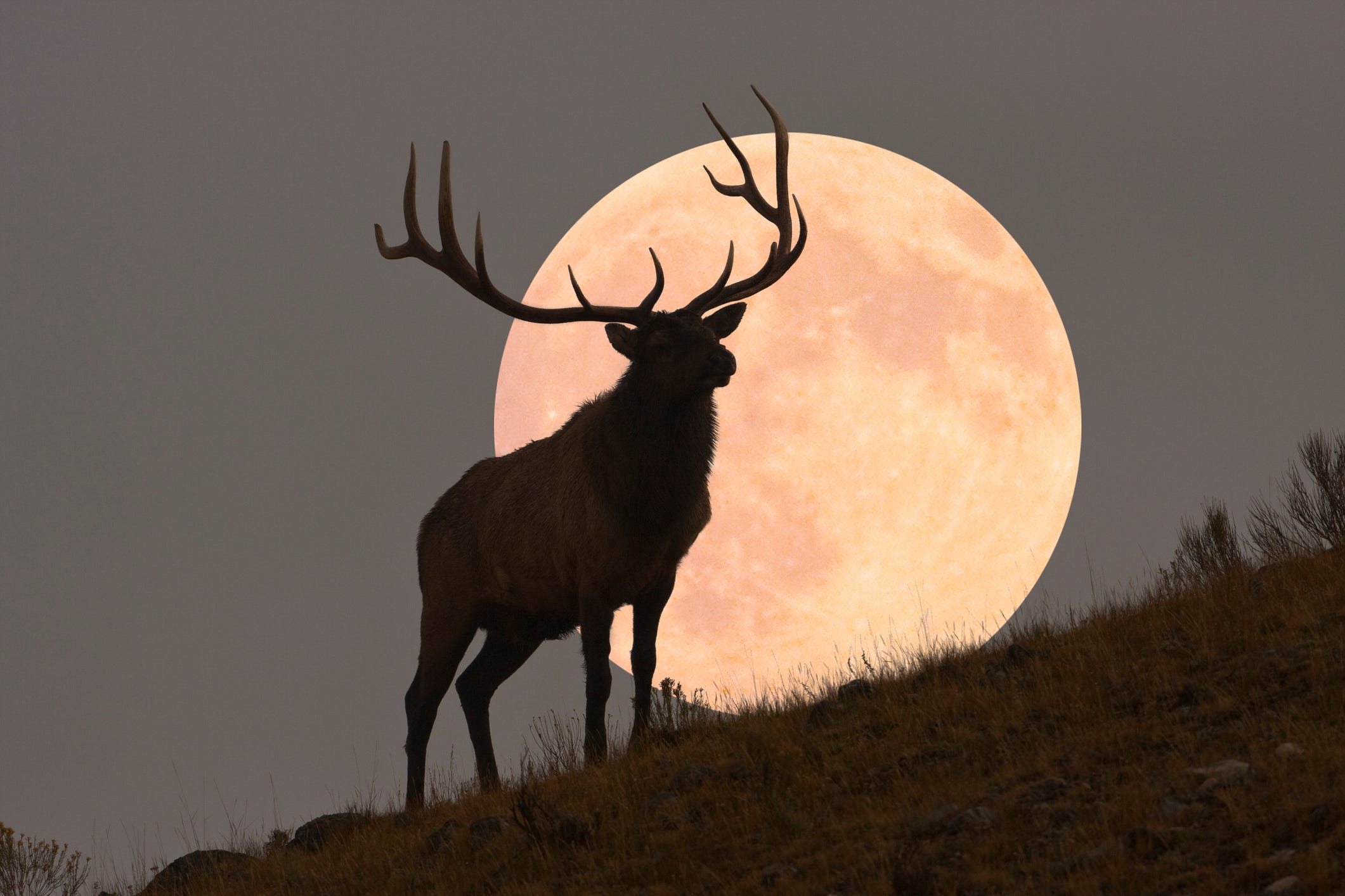 Where and When to See October's Full Moon, the Hunter's Moon