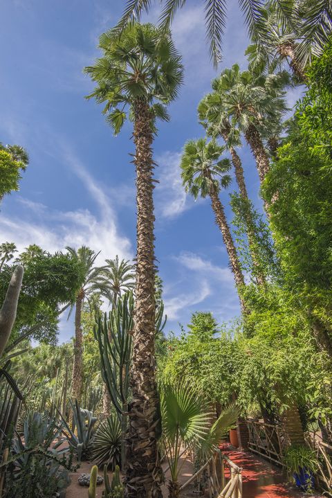 majorette gardens in marrakech