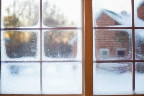 frosted window panes