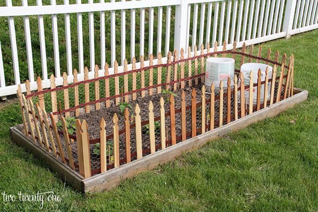 20 Best Garden Fence Ideas Diffe, Mini Garden Fence