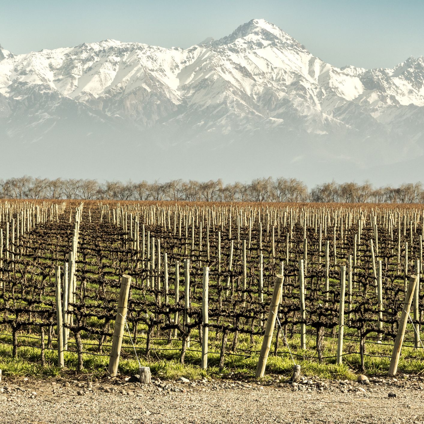 Mastering Mendoza: An Insider's Guide to Luxury and Adventure in Argentina's Top Winemaking Region