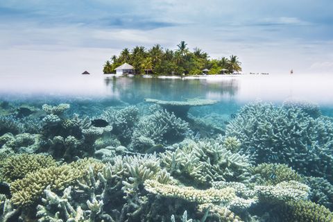 maldives halfwater