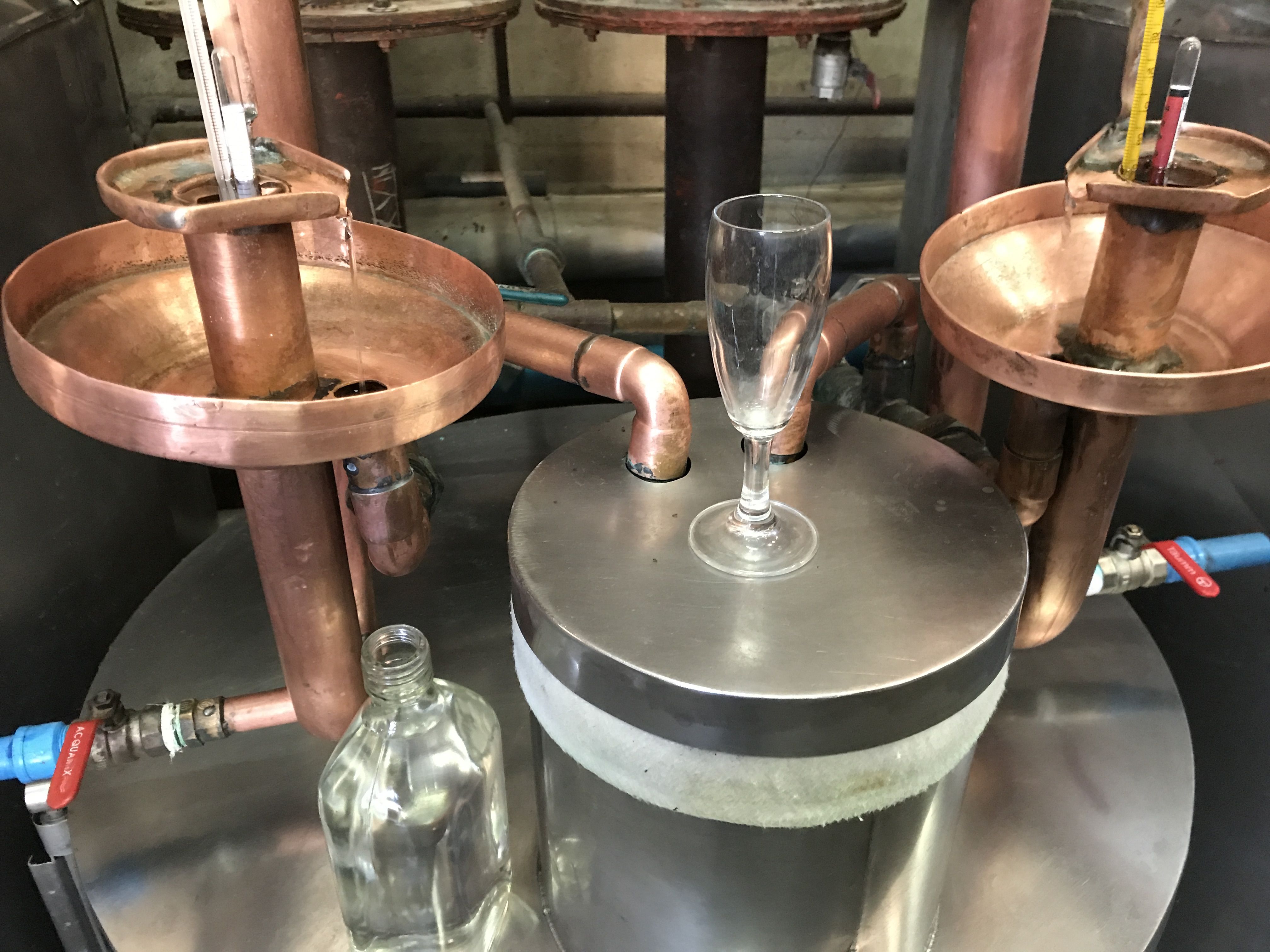 Viaggio in Cile, alla ricerca del Pisco perduto